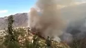 [VIDEO] Ayacucho: más de 20 familias afectadas con incendio forestal - Noticias de familias