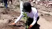 [VIDEO] Huancayo: Universitarios reforestan botadero en Huancán - Noticias de universitarios