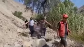 [VIDEO] Huaral: Minivan cae al barranco y mueren seis integrantes de una familia - Noticias de integrantes