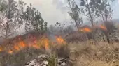 [VIDEO] Incendio forestal en el sector de Ccapaccalla - Noticias de incendios-forestales