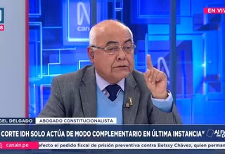 Angel Delgado: La Corte IDH actúa en modo complementario en última instancia