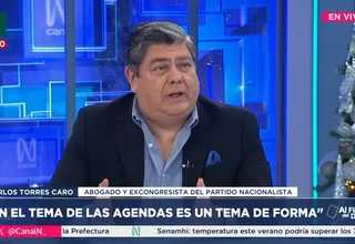 Carlos Torres Caro: El TC no puede meterse en temas de fondo