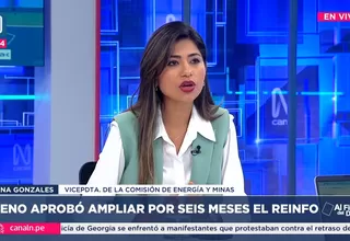 Diana Gonzales: Con la ampliación del Reinfo por seis meses, se aprobó la trazabilidad del mineral