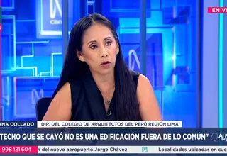 Liliana Collado: El techo que se cayó no es una edificación fuera de lo común