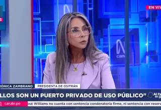 Verónica Zambrano: Cualquier inversionista tiene que ajustarse a las normas del país donde invierte