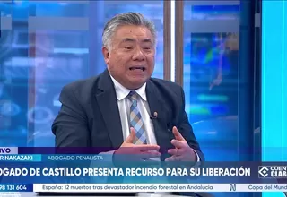 César Nakazaki: Informe de grupo de trabajo de la ONU es una opinión