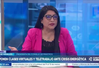Denisse Miralles: No importa por ahora quién es el culpable de la crisis energética