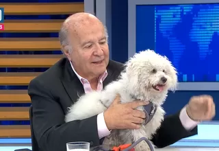 Hernando de Soto: Nunca pedí la exclusividad de mi candidatura