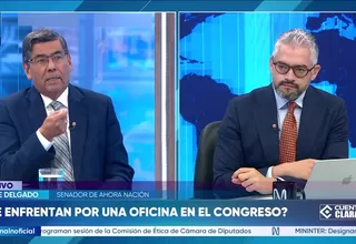 Jaime Delgado: Deberían desdoblarse al menos dos comisiones por temas efectivos