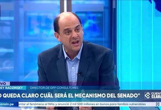 Jeffrey Radzinsky: No queda cual será el mecanismo del Senado  