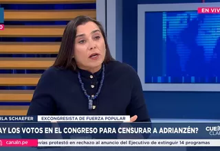 Karla Schaefer: El REINFO no sirvió para nada