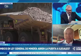 Víctor Gobitz: Cambio en la ley de minería es populismo puro y duro