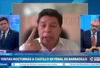 Walter Ayala: Catherin Palomino sí es abogada de Pedro Castillo