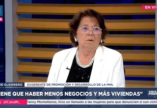 Elsie Guerrero: Tiene que haber menos negocios y más viviendas