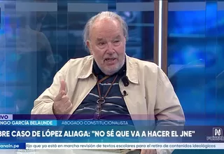 Domingo García Belaunde: Si el Senado aprueba cosas que no puso Diputados, tendrán que ir al TC