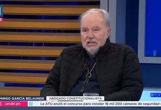 Domingo García Belaunde: El TC está apareciendo como enmendador de errores