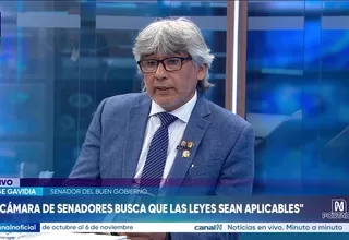 Jorge Gavidia: Pienso que el Senado puede incorporar sin desnaturalizar las facultades