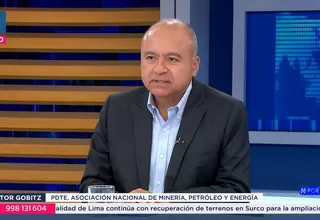 Víctor Gobitz: "Debemos establecer el estado de derecho en el país"