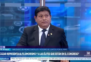 Walter Ayala: José Domingo Pérez está viendo el tema penal y yo el constitucional
