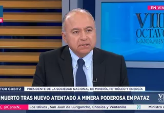 Víctor Gobitz: En el Congreso hay sobrerrepresentación de la minería ilegal