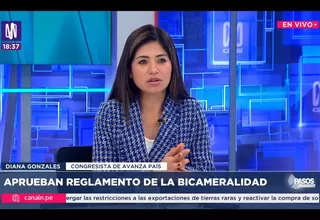 Diana Gonzales: a prórroga del Reinfo sería un incentivo para la minería ilegal