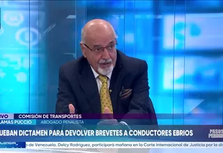 Luis Lamas Puccio: Las bancadas actúan más con un sentido político y partidario